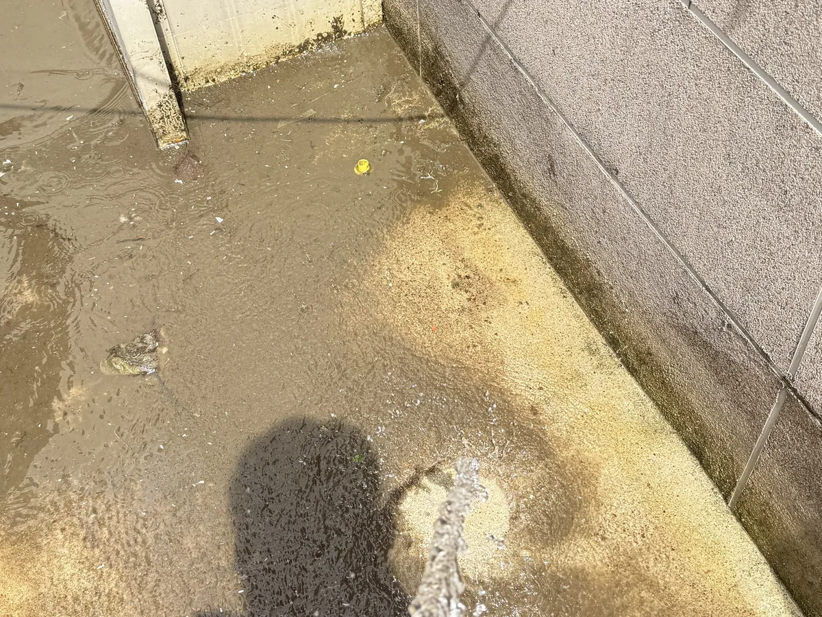 오산시 가수동 침수 현장 복도·대기 동선 야간 위생청소 사례 - 행진크린